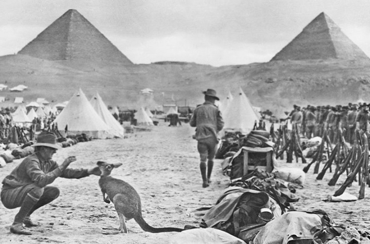 ピラミッドの歴史と基本情報